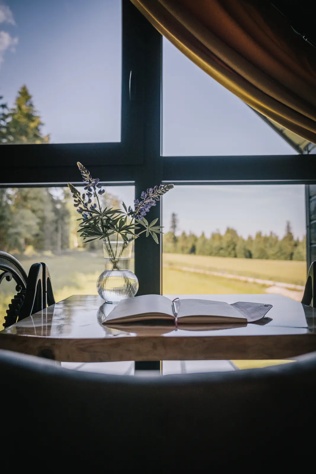 Widok z okna domku na polanę i las